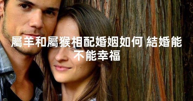 屬羊和屬猴相配婚姻如何 結婚能不能幸福